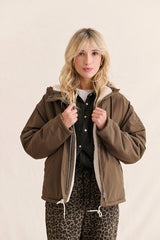 Guzmania 25AH040 Coat Brown